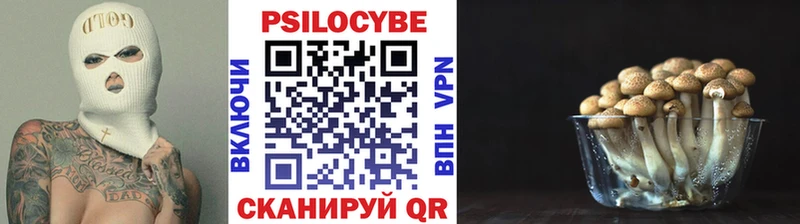 купить наркоту  Кохма  Псилоцибиновые грибы мухоморы 