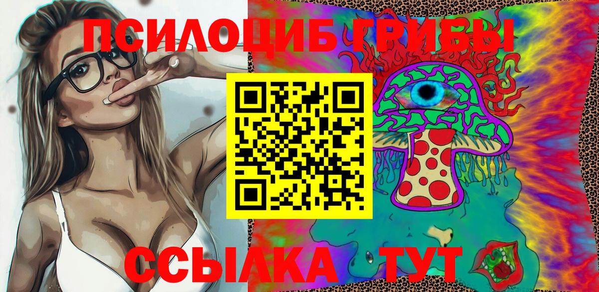 Псилоцибиновые грибы мицелий  Кохма  Псилоцибиновые грибы MAGIC MUSHROOMS 