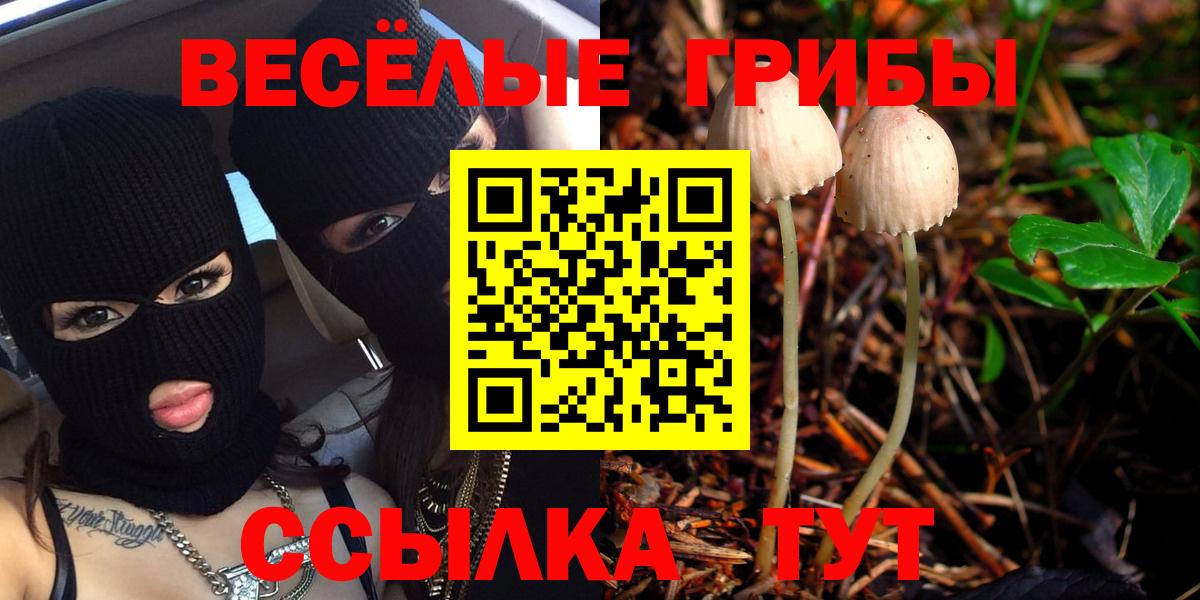 Псилоцибиновые грибы прущие грибы Кохма