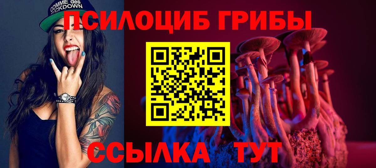 Кохма  Галлюциногенные грибы MAGIC MUSHROOMS  Галлюциногенные грибы мухоморы  Вход с VPN 