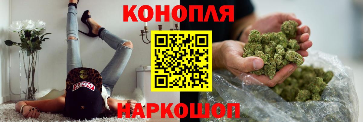 Бошки Шишки семена  Кохма  Марихуана планчик  Конопля Ganja 